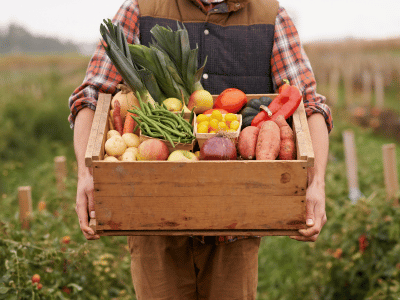 Person carrying fruits