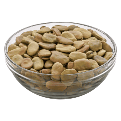 Fava Beans