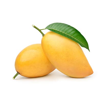 a couple of yellow mangoes with green leaves