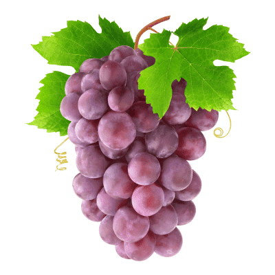 a bunch of grapes with leaves