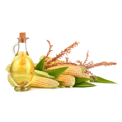 a bottle of oil next to corn cobs