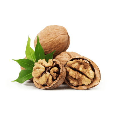 a group of walnuts with leaves