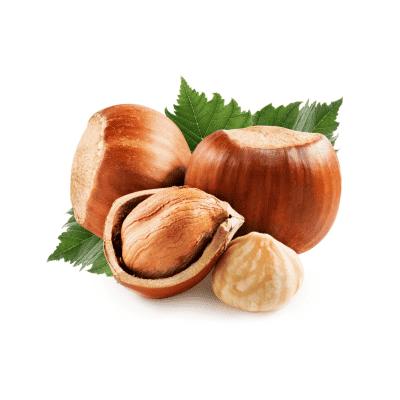 a group of nuts with leaves